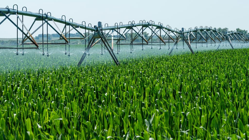 Center-pivot irrigation system spraying water over a green corn field